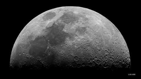 DSC3982std-12-2Df-3k