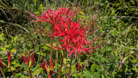 PXL_20250924_023948226