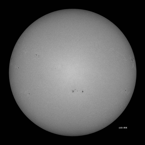 DSC_4583_lapl5_ap65431sunsharp-11bw-3k