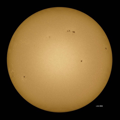 DSC_0553_lapl5_ap64617sunstd2-13-3k