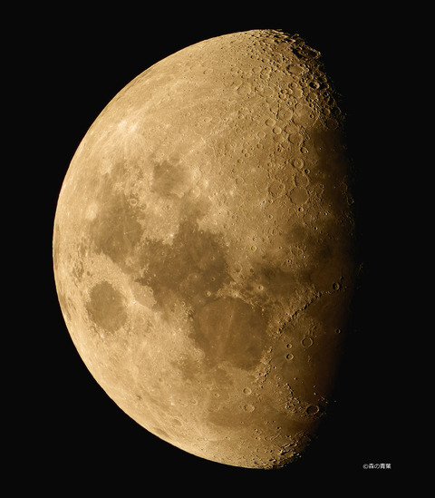 DSC_9484_lapl3_ap37660tuki-12-1-3k