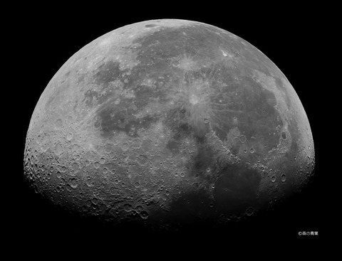 DSC_5855hicont-12denoise100-1portDfine2-3k