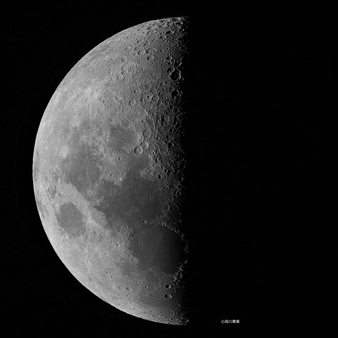 _DSC2951_v_lapl5_ap30476_conv25bw