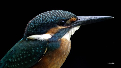 IMGP7645元画-v8best-3k-2