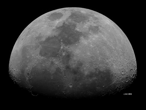 DSC_9581_lapl7_ap41094_convbw-3k