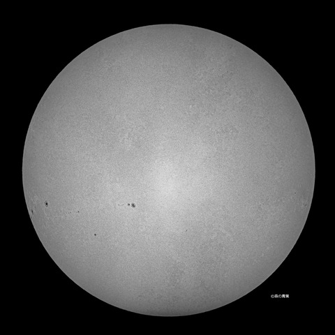 _DSC8038_lapl7_ap15040_conv-20bw-3kx