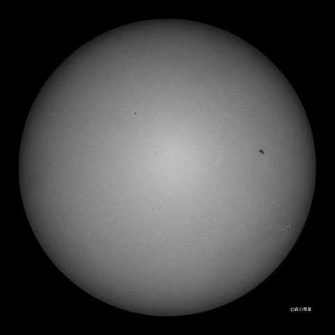 DSC_7970high-14-1snap-3k