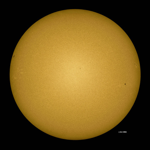 _DSC4516_v_lapl5_ap64161_conv40x