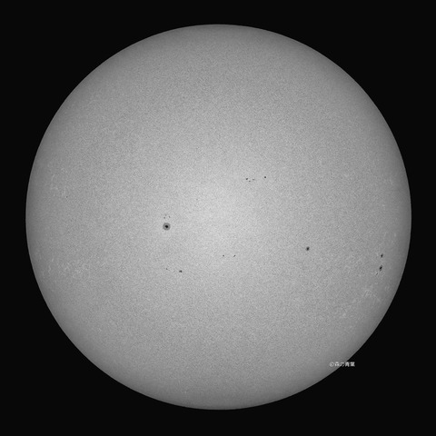 _DSC5641_stack_lapl5_ap66617_conv25b