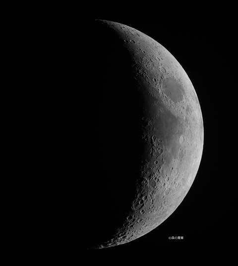 DSC_0533_lapl5_ap13282tuki-10bw-3k