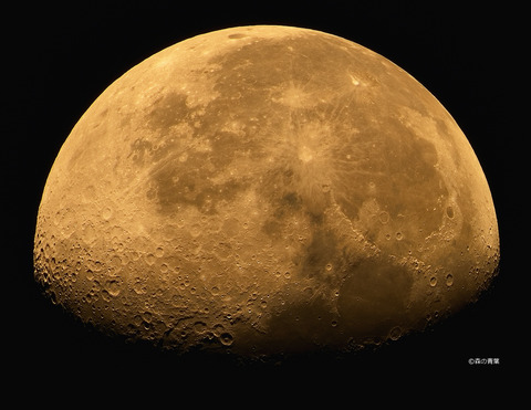 DSC_5855hicont-12denoise100-1-3k