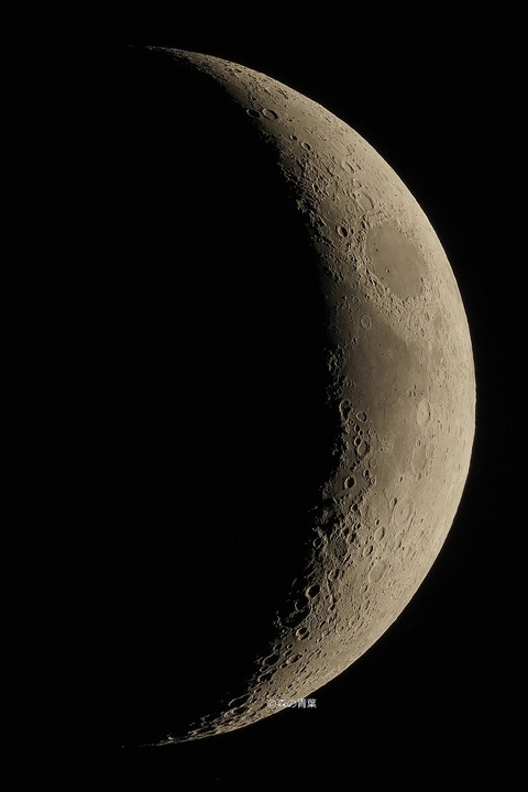 _DSC5759_lapl5_ap137640vsh