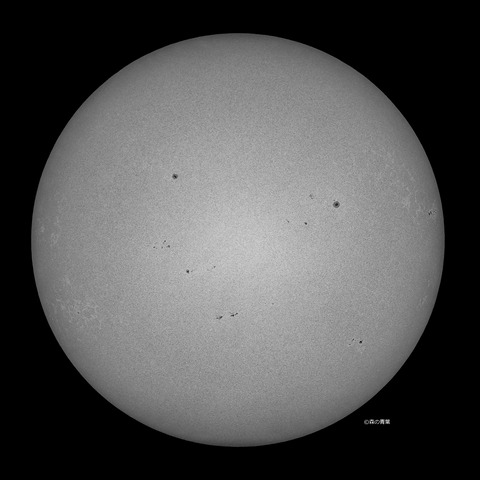 _DSC4373_lapl5_ap8278_conv50bw