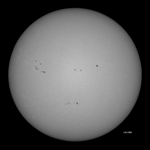 DSC_3163_lapl5_ap65105STD2-09bw-3k