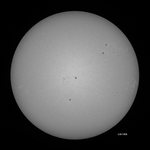 DSC_4497_lapl5_ap64498sunstd-10bw-3k