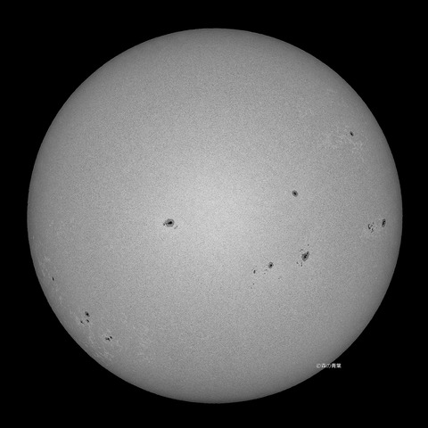 _DSC3640_lapl5_ap6736_conv25bw