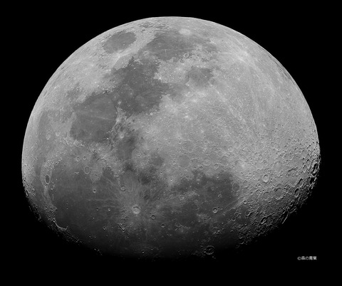 DSC_4221_lapl5_ap43455sun-denoiz-12-Xbw-3k
