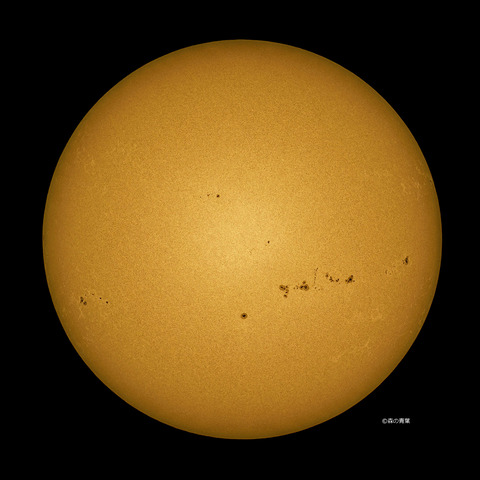 DSC_6479_lapl5_ap63114_conv-50-3k