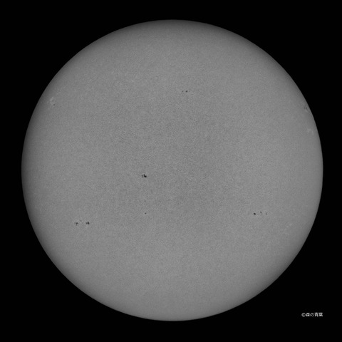 0716-sharp-S09-1bw_filteredV9-2k