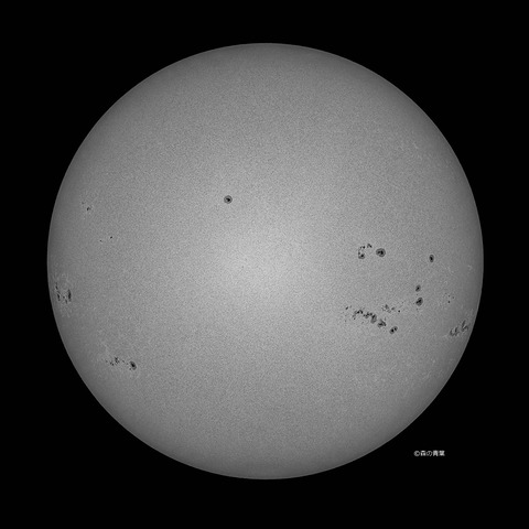 DSC_9191_lapl5_ap63631_conv-50bw-3k