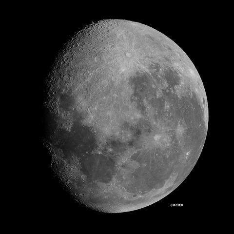 _DSC7022_lapl7_ap13201_conv-40bw-3k