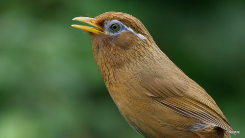 IMGP7966