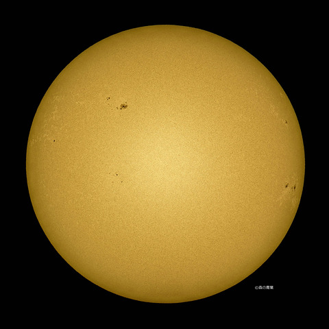 _DSC0470_X3_lapl5_ap66819_conv40