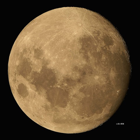 DSC_1021_lapl5_ap66508std2-11-3kx