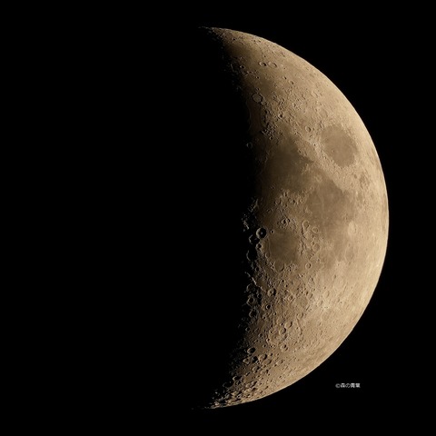 DSC_0773_lapl5_ap18063tuki-12-3k