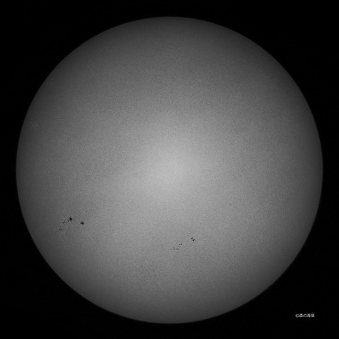 DSC_3964std-11-1snap-3k