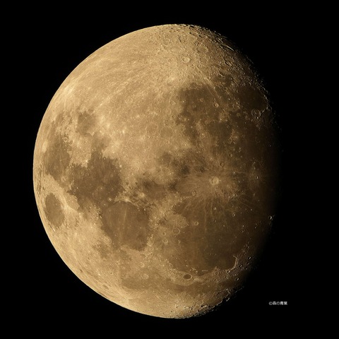 DSC_7681_lapl5_ap53759sun-1-3k