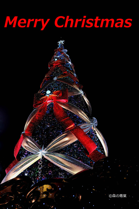 DSCF1806クリスマス-1