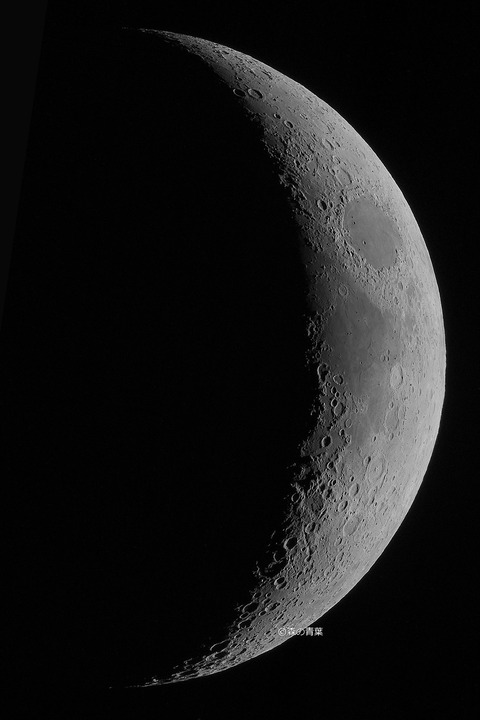 _DSC5759_lapl5_ap137640b