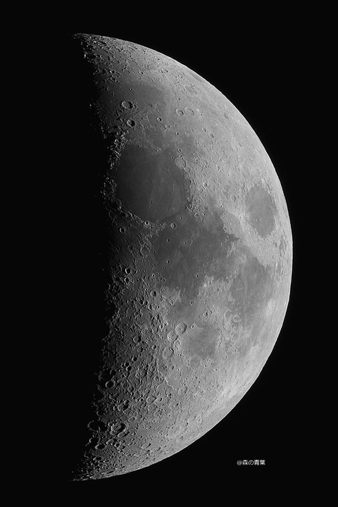 DSC_8294_lapl5_ap43863std2-10bw-3k