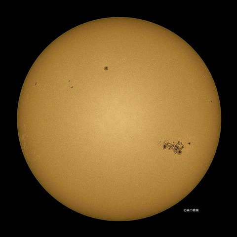 DSC_6016_lapl5_ap63925sunstd-12-3k