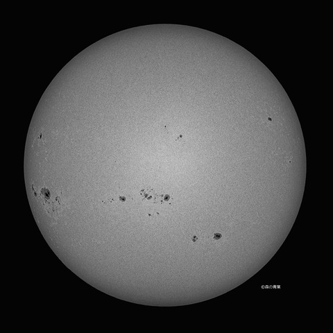 DSC_2160_lapl5_ap62204_conv-301bw-3k