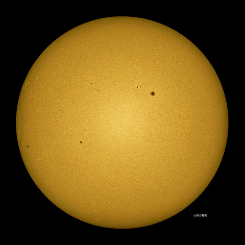 _DSC5518_lapl5_ap63678_conv40