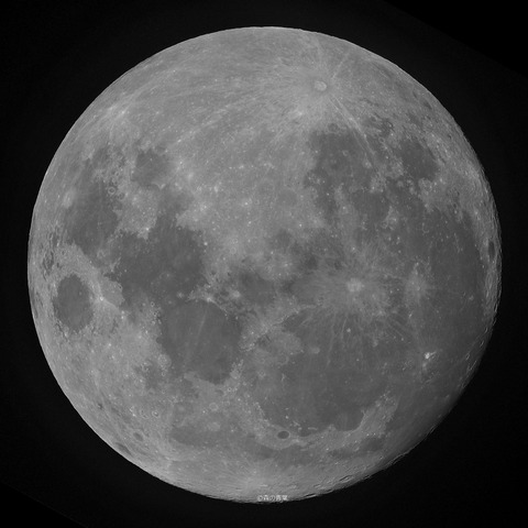 _DSC9034_lapl4_ap589625shb