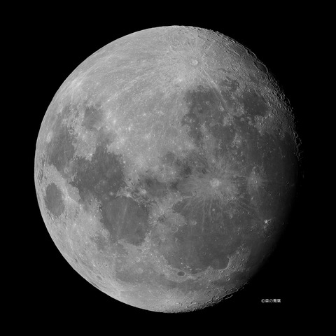 DSC_8364_lapl5_ap53313Tuki-11bw-3kxxx