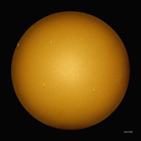 2022-02-21h-11-1-2kmeisyo