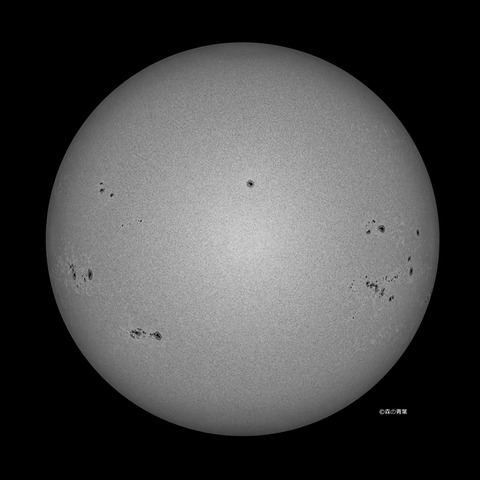 DSC_9791_lapl5_ap63426_conv-80bw-3k