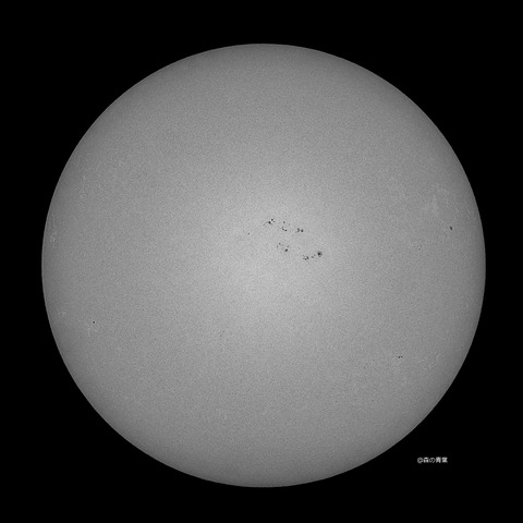 DSC_3523_lapl5_ap65298sunsharp-12bw-3k