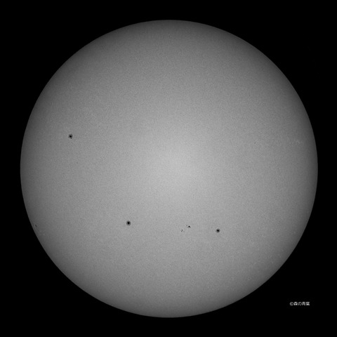 DSC_3871high-12-1SilverEffect-3k