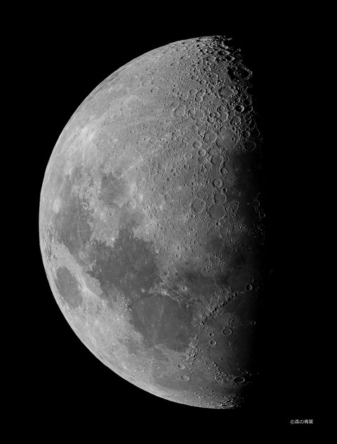 DSC4402MD-12Nr-2port-shus-p-3k