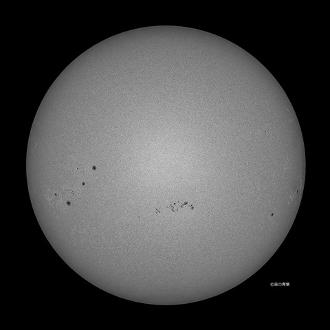 DSC_7239_AS_P80_lapl5_ap63148_conv-80bw-3k