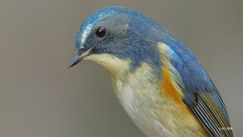 202011030815382f4-tk3