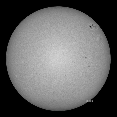 _DSC1998_lapl5_ap6990_conv50b