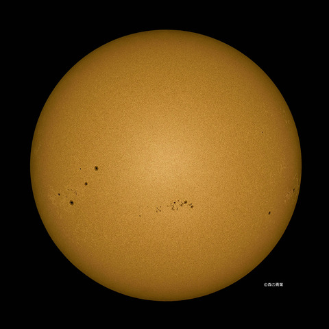 DSC_7199_lapl5_ap63363_conv-50-3k