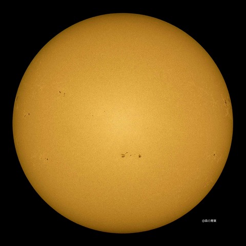 DSC_4583_lapl5_ap65431std2-11-3k