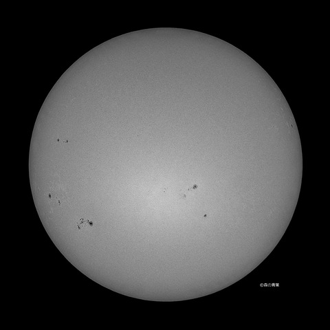 DSC_5753_lapl5_ap63113Layer123bw-3k